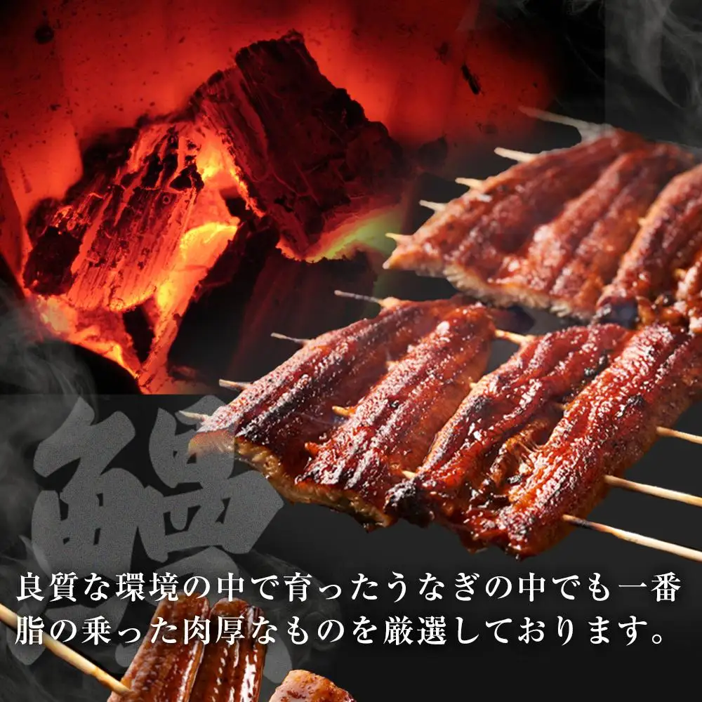 ひつまぶし　う家　お食事券　三千円分 ひつまぶし