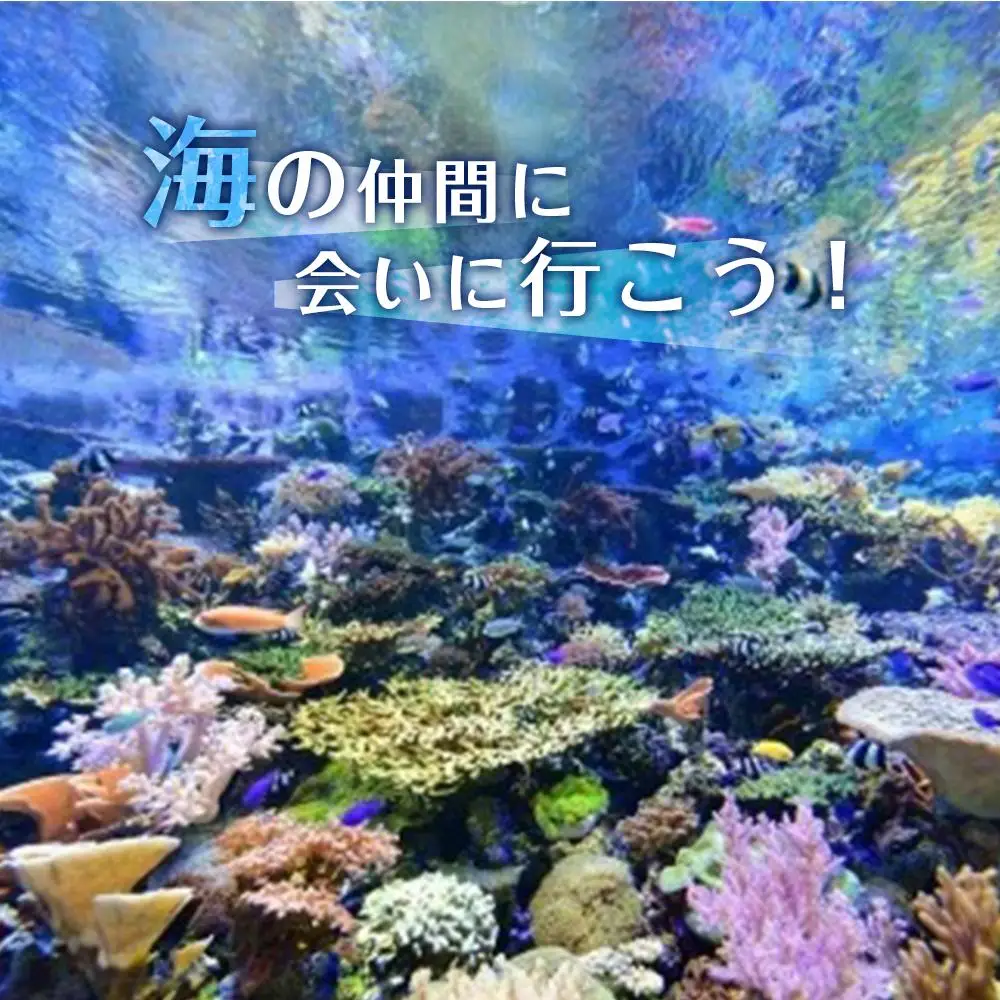 名古屋港水族館入館券（大人入館券２枚）