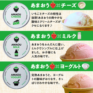 【あまおう年間定期便(年12回)】福岡県産 冬はあまおう！夏はジェラート(アイス)！年中あまおうの美味しさをお届けします！！_いちご 定期便 年12回 あまおう 280g × 4パック オリジナル 完熟あまおう ジェラート 85ml × 6個 各 6回 高級ブランドいちご フルーツサンド アイス レアチーズ ミルク ヨーグルト 3種類 冷凍 フルーツ お取り寄せ 福岡県 久留米市 送料無料 〔Dw017〕