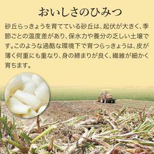 特別栽培らっきょうの甘酢漬（6袋セット）