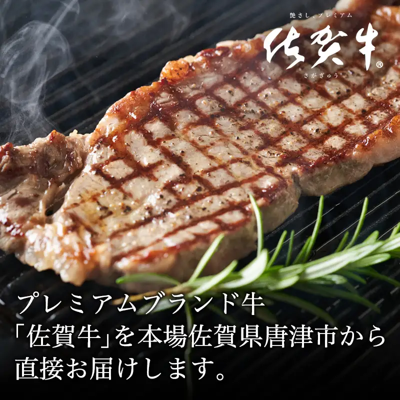 厳選佐賀牛 サーロインステーキ180g リブローススライス300g 2種(合計480g)セット ステーキ