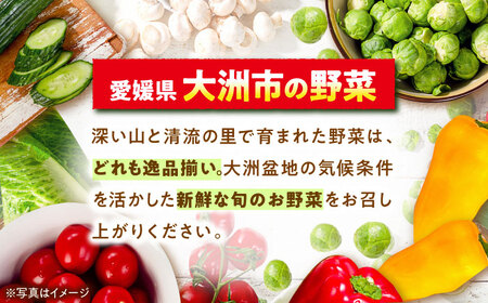 【野菜セット】旬野菜×根菜 詰め合わせ（10-12種）[AGBX012]