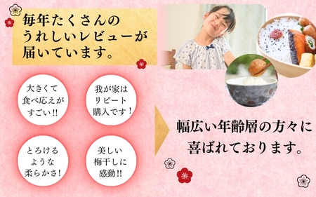 梅干し 食べ比べセット 1.4kg（700g×2種）大粒 南高梅（はちみつ・桃風味）【inm800-3C】