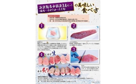【訳あり】南紀本マグロ 希少部位三点セット約600g 本鮪 本まぐろ 鮪 マグロ まぐろ 訳アリ【nks201】