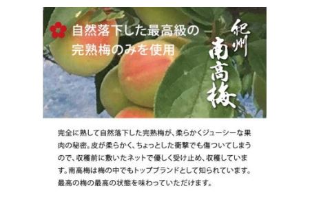 しそかつお梅干し500g　紀州南高梅うめぼし和歌山産(化粧箱入)【kztb28A1】