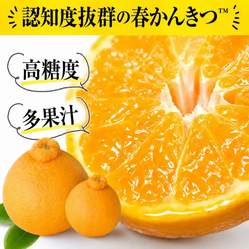 デコ不知火（デコポンと同品種） 約5kg/サイズおまかせ　※2027年2月上旬～2027年4月上旬頃に順次発送予定(お届け日指定不可) / 不知火 しらぬい デコポン デコ不知火 果物 フルーツ 柑橘 蜜柑 【kztb420A】