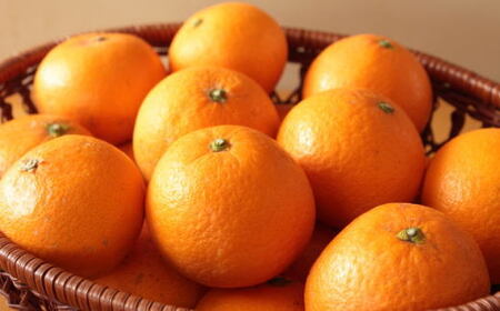 【産直】有田産清見オレンジ約5kg（サイズおまかせ・秀品）※2027年3月上旬～3月下旬頃順次発送予定【tec866B】