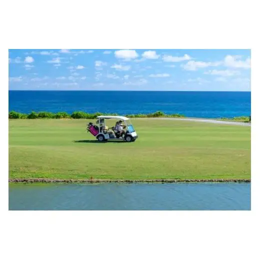 エメラルドコーストゴルフリンクス プレー3万点クーポン