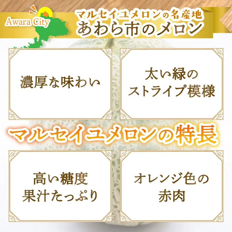 【先行予約】マルセイユメロン 3～5玉入「ユメマル」5kg《とろけるような食感！》／ 果物 フルーツ 赤肉 メロン 濃厚 果肉 産地直送 あわら 大賞 受賞  ※2027年6月中旬より順次発送 [aw012-a025]