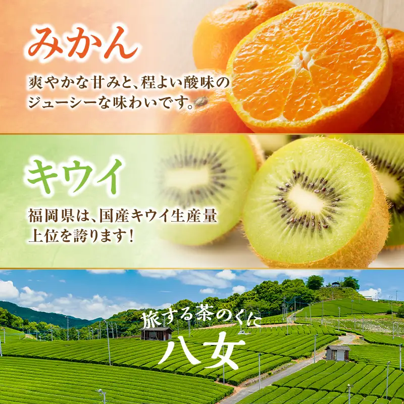 九州･福岡からお届け！八女の恵み定期便【全5回】A ＜配送不可：北海道・沖縄・離島＞ フルーツ 定期便 米 あまおう 茶 みかん キウイ 果物 おすすめ セット 産地直送 福岡県 八女市 072-T032