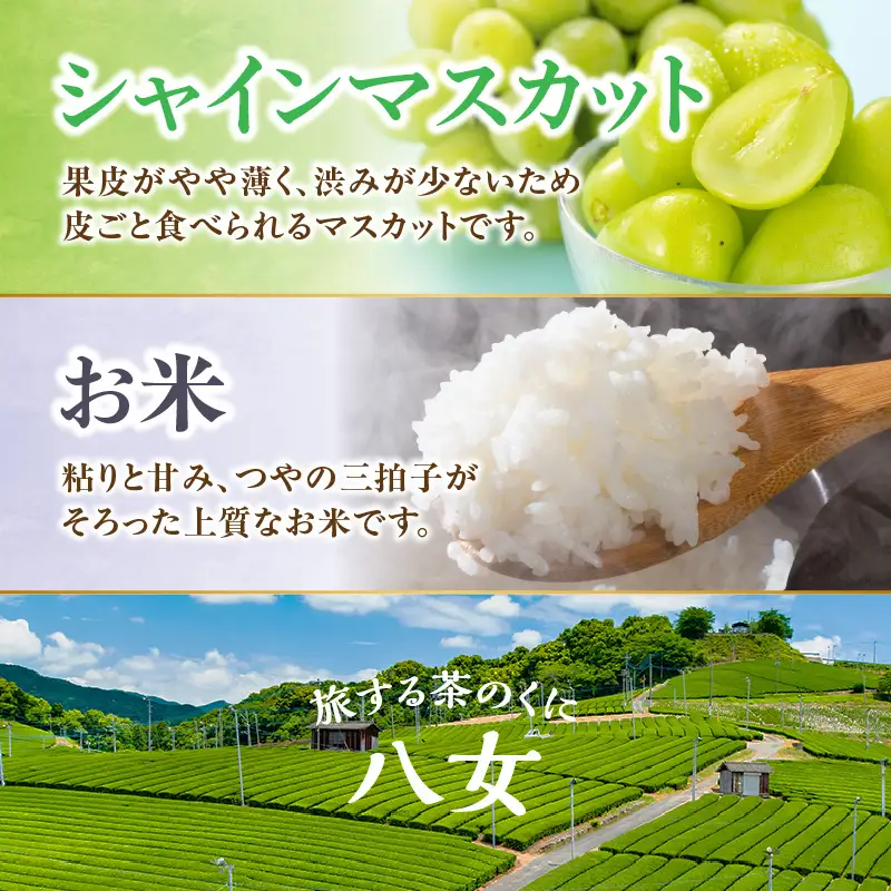 九州･福岡からお届け！八女の恵み定期便【全5回】B ＜配送不可：北海道・沖縄・離島＞ フルーツ 定期便 あまおう みかん 不知火 シャインマスカット 果物 おすすめ セット 産地直送 福岡県 八女市 072-T033