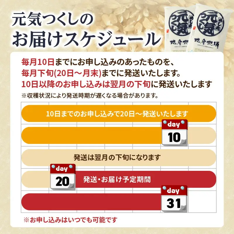 九州・福岡からお届け！ブランド米「元気つくし」定期便【全5回】 お米 米 コメ 白米 特A 直送 お弁当 おにぎり 炊きたて ツヤ 粘り もちもち 弾力 卵かけご飯 福岡県 八女市 072-T070