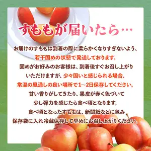 【2026年6月発送予定】九州・福岡フルーツ王国八女から直送！すもも約1.4kg｜＜配送不可：北海道・沖縄・離島＞ 数量限定 直送 1.4kg 旬 時期 すもも スモモ 果物 くだもの フルーツ デザート ジューシー 甘酸っぱい 家族団らん 冷蔵 九州 福岡県 八女市 072-163