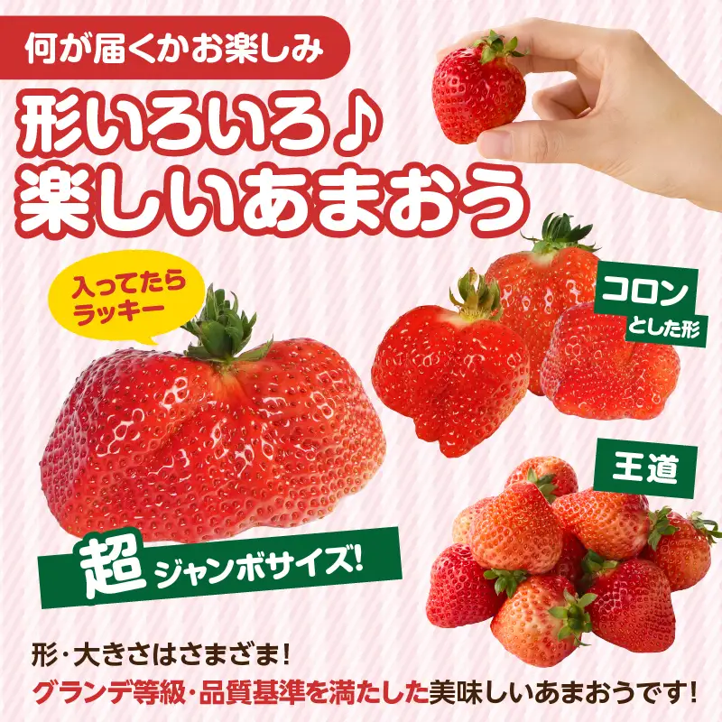 【先行受付：2027年2月発送開始】博多あまおうＧ250g×4パック｜JAふくおか八女 あまおう いちご 苺 イチゴ フルーツ 果物 くだもの 人気 旬 福岡県産 大粒 アフター補償 数量限定 期間限定 産地直送 グランデ 福岡県 八女市 002-003