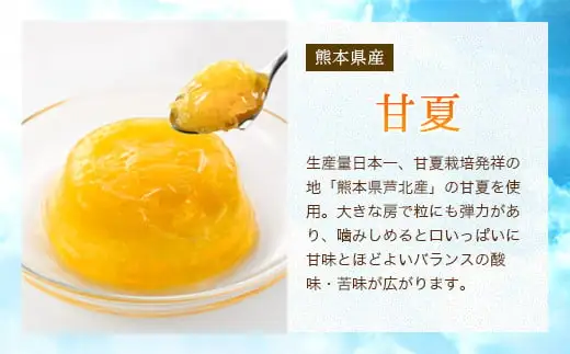 甘夏ゼリー24個セット ゼリー フルーツゼリー 甘夏 みかん セット ギフト 詰め合せ 福岡県 八女市 007-003