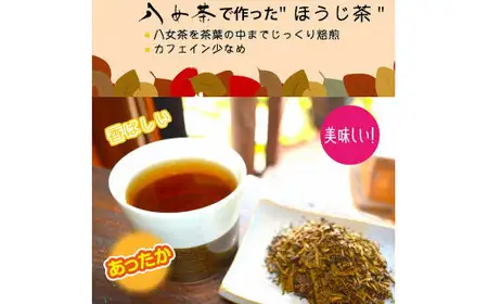 八女茶 自家製ほうじ茶ティーバッグ100個入り　008-042