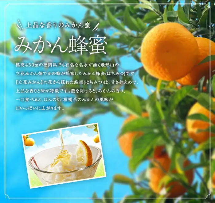 かの蜂 国産蜂蜜 4種セット とんがりプラ容器 2kg（500g×4） はちみつ 福岡県 八女市 024-064