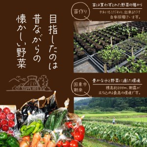 まるかの無農薬野菜詰合せ M_1877R