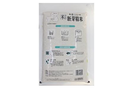 【10097】美濃ハツシモ胚芽精米5kg　令和４年度産