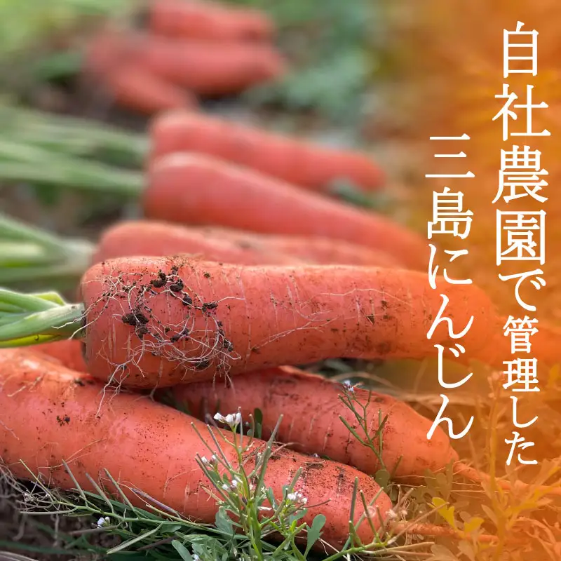 にんじんジュース 100% 190g 30本 人参 野菜ジュース ぎゅっとまるごと 濃厚 三島市