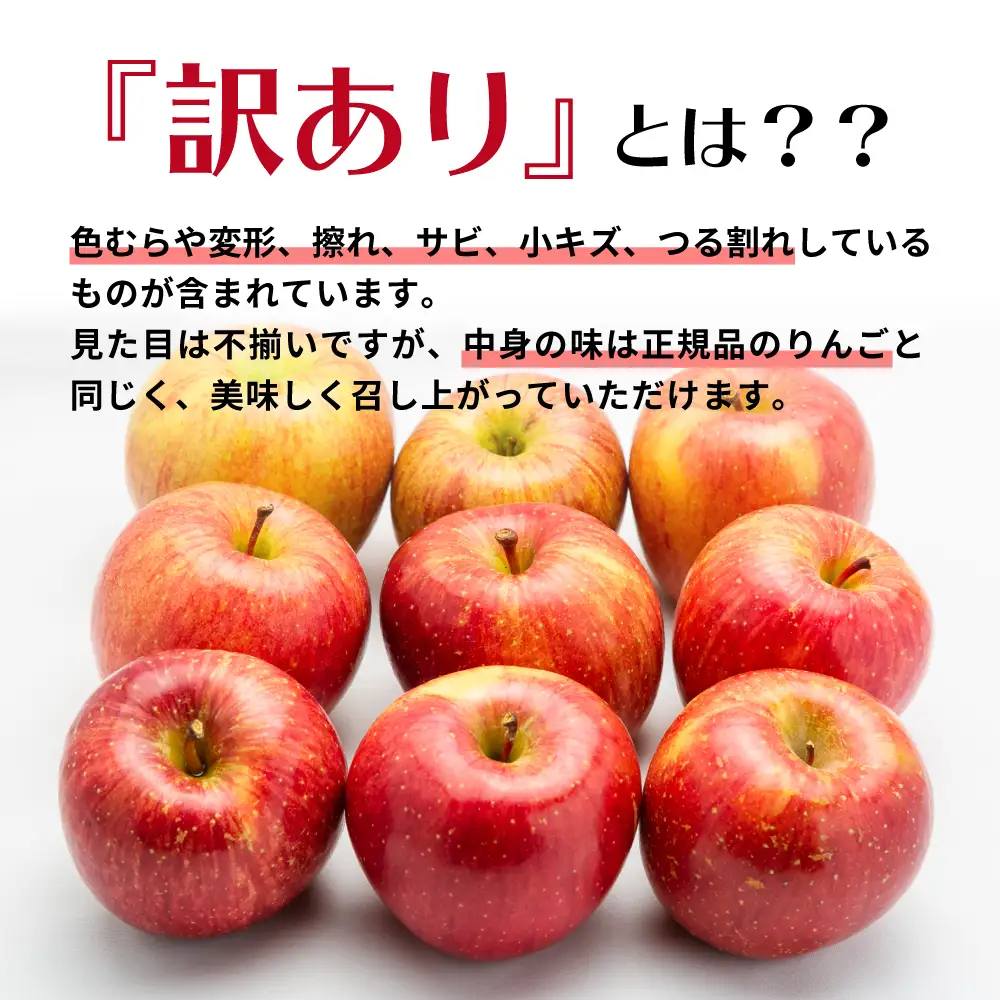 【2026年12月下旬発送】【訳あり】 りんご 約10kg サンふじ 青森 家庭用 りんご