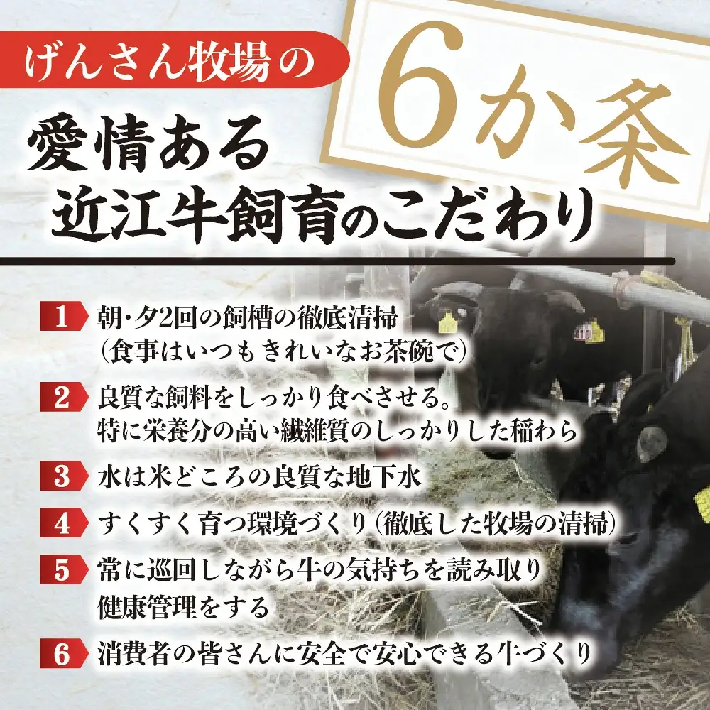 【げんさん】近江牛A5ランクサイコロステーキ【400g】【DG06W1】ステーキ