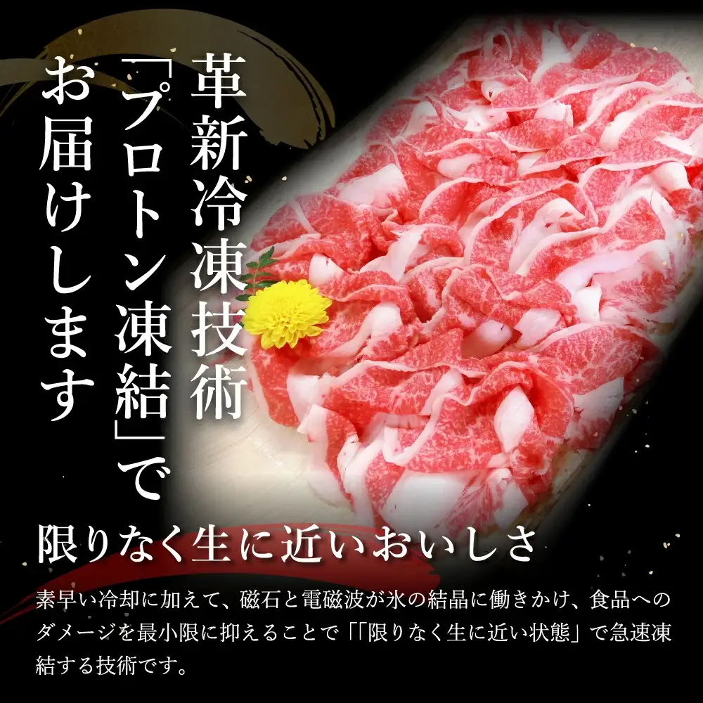 近江牛 A5 ランク 切落し 500g 訳あり げんさん 【DG12W】近江牛 切り落とし 牛肉