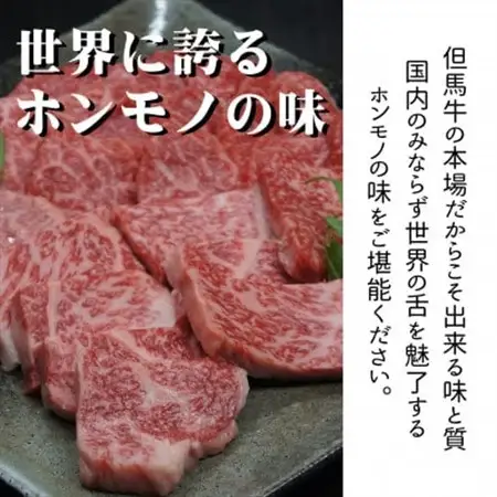 但馬牛ロースと赤身 店長おすすめ部位 食べくらべ 500g【配送不可地域：離島】【1242705】