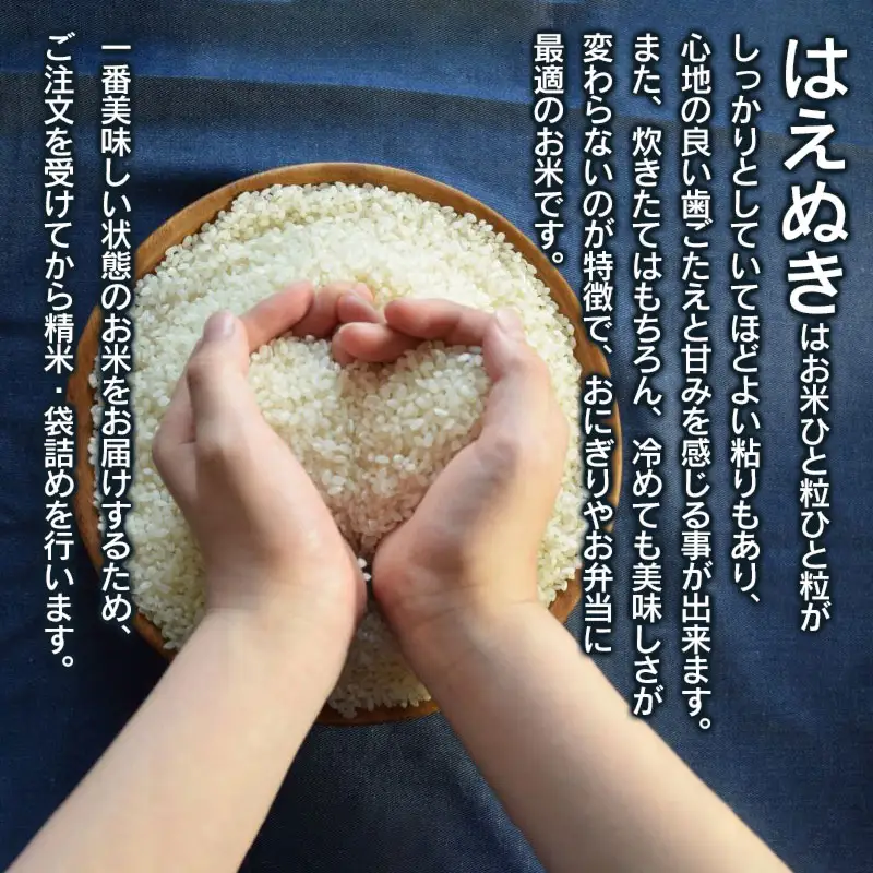 【令和7年産】 山形県庄内産 小池半左衛門のお米 はえぬき 無洗米 10kg (5kg×2袋)