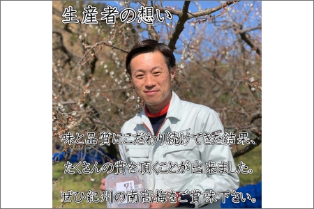 紀州南高梅 こんぶ風味梅干 1.0kg【0834-5】