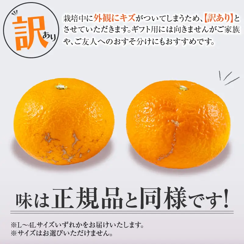 先行予約 訳あり みかん 津之輝 つのかがやき 5kg 希少 L ～ 4L サイズ不揃い フルーツ_BD144-26