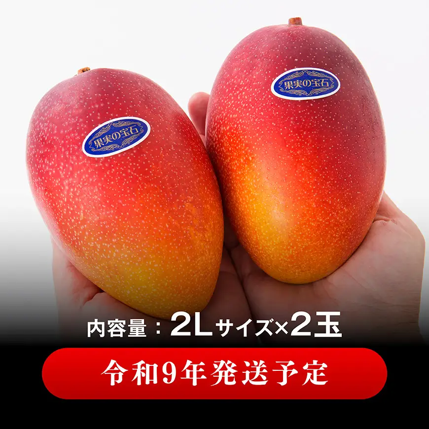 【令和9年発送】【宮崎県産完熟マンゴー】果実の宝石　プレミアム 2L×2玉 【 先行予約 数量限定 宮崎県産 九州産 川南町産 糖度15度以上 期間限定 】