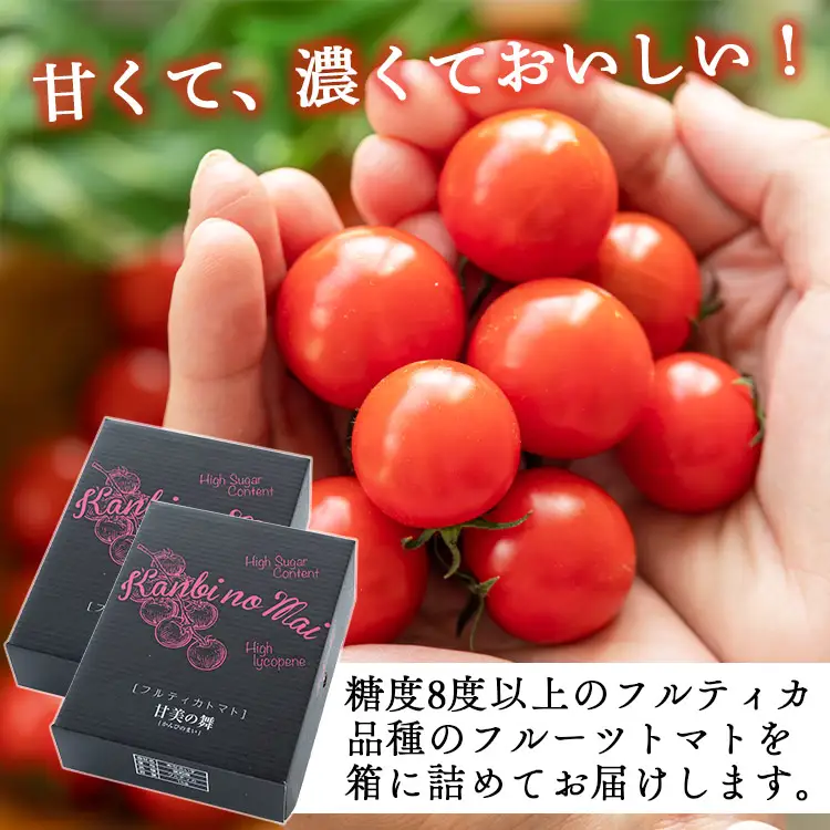 トマト フルーツトマト 2kg 高糖度〈2026年12月以降順次配送分〉 kr-0085