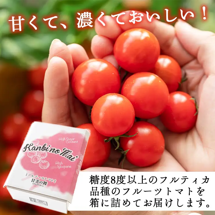 【2026年12月以降順次配送分】フルーツトマト 3kg トマト kr-0086