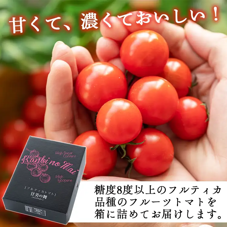 トマト フルーツトマト 1kg 高糖度〈2026年12月より順次発送〉 kr-0083