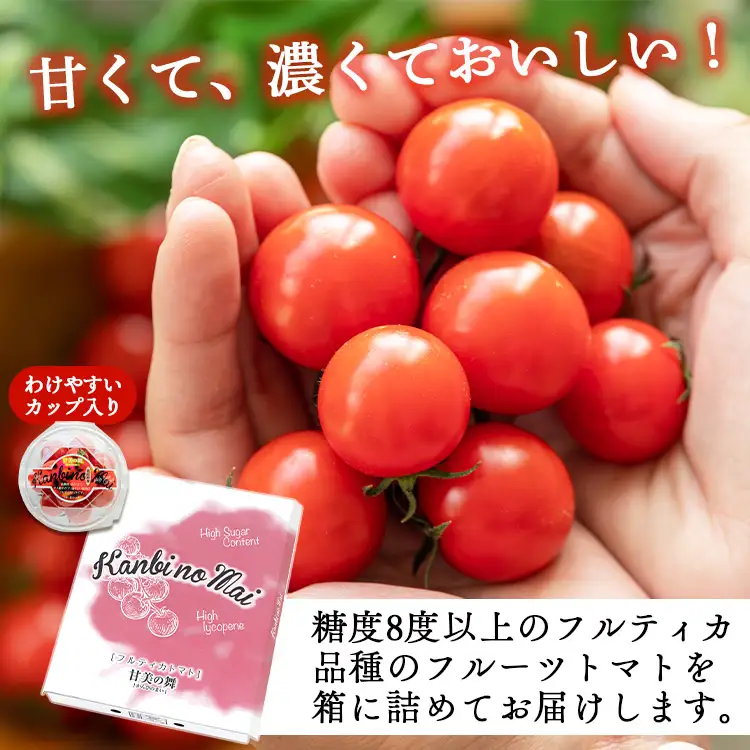 トマト フルーツトマト 12パック(150g×12) 高糖度〈2026年12月以降順次配送〉 個包装 kr-0084