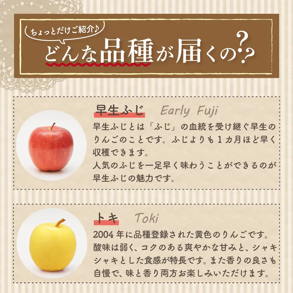 【2026年11月中旬発送】【訳あり】 りんご 15kg 詰め合わせ 計2種(サンふじ と 他1種) 家庭用りんご