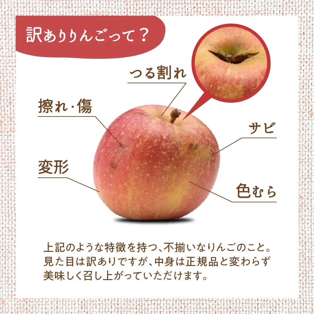 【2026年11月下旬発送】【訳あり】 りんご 10kg 紅玉 アップルパイ に最適 青森 不揃い