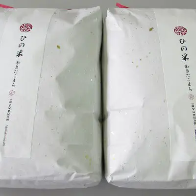 あきたこまち 秋田県産 鳥海山の恵み 玄米 農家直送 あきたこまち【10kg(5kg×2)】【先行予約】