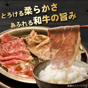 【産地直送】A4等級以上 小林市産宮崎牛肩ロース すき焼き用 600g（黒毛和牛 ロース 牛肉 宮崎牛 すき焼き しゃぶしゃぶ A4 A5 冷蔵）