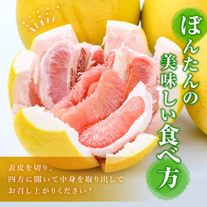 ＜先行予約受付中！2027年1月上旬以降順次発送予定＞数量限定！鹿児島県阿久根市産ボンタン(計4kg) 国産 ぼんたん 文旦 果物 くだもの フルーツ 柑橘【松永青果】akn053-01