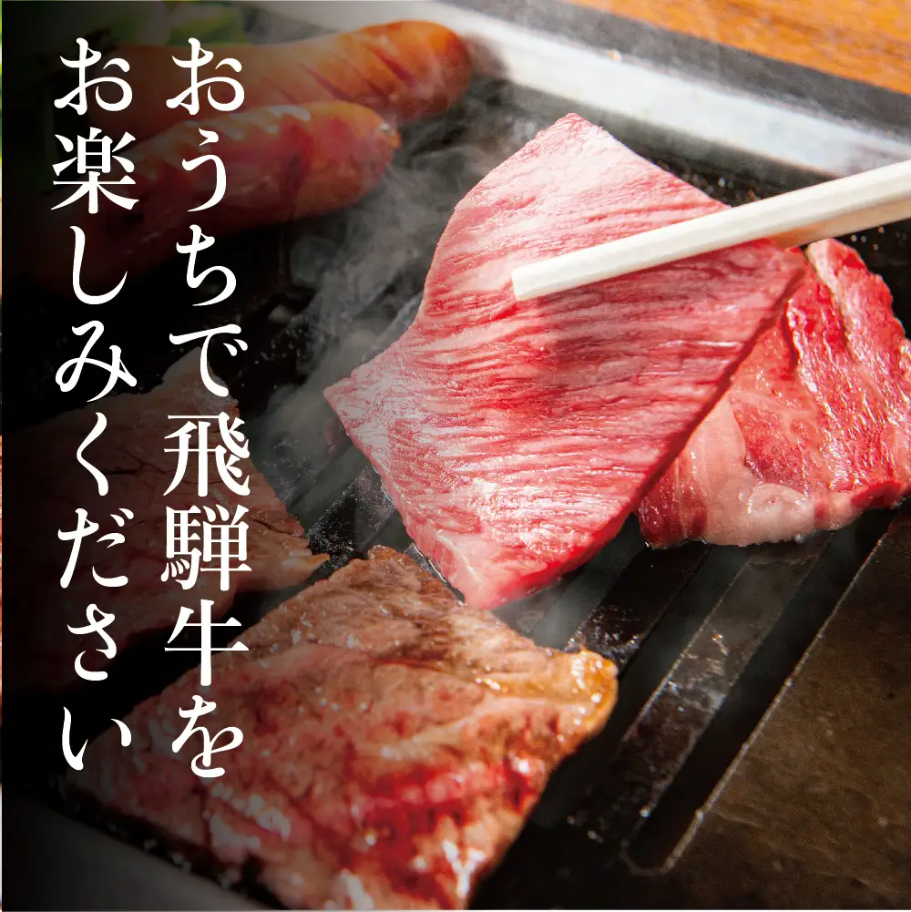 【ふるなび限定】飛騨牛 訳あり 焼肉1kg 切りおとし | 牛肉 訳あり 丸明 LR008-CP02 FN-Limited-PR