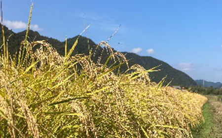 米自然米こばファーム精米有機JAS認証米【2kg(1kg×2袋)】