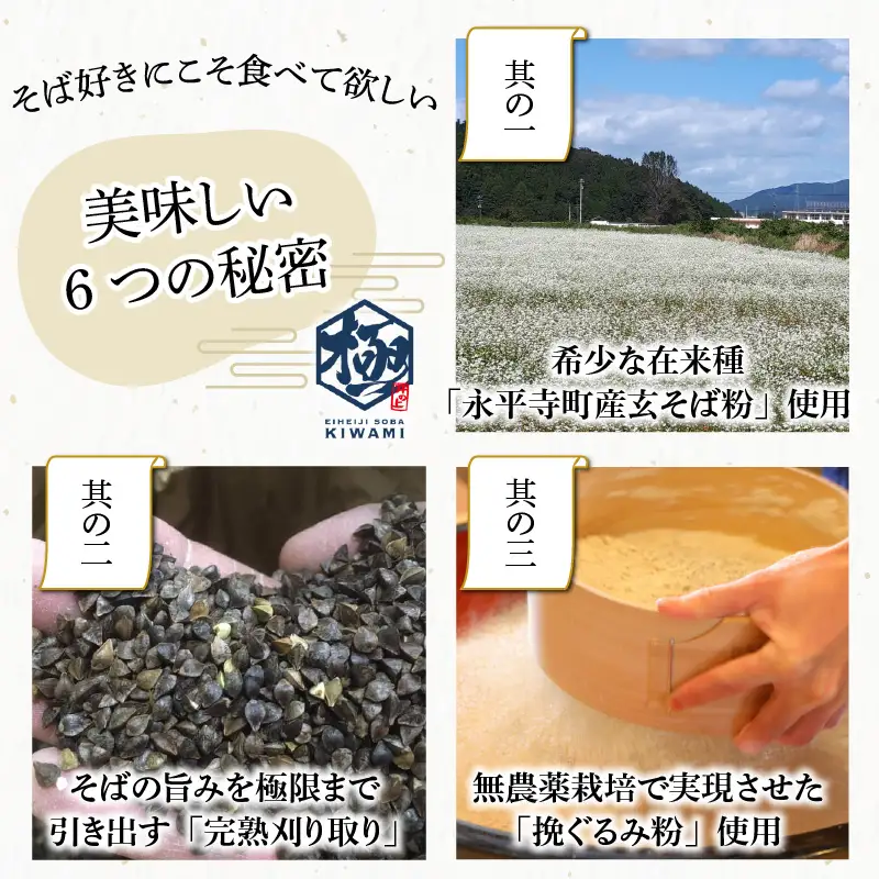 【越前そば】永平寺そば極　乾麺ギフト（つゆ付き）4袋（8人前相当）[B-026033]