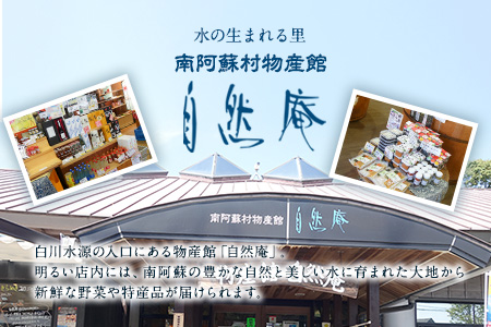 DLG7連続金賞受賞！『阿蘇の逸品』ハム・ソーセージ詰め合わせ《30日以内に出荷予定(土日祝除く)》物産館自然庵 ハム ソーセージ ウィンナー ベーコン st-p