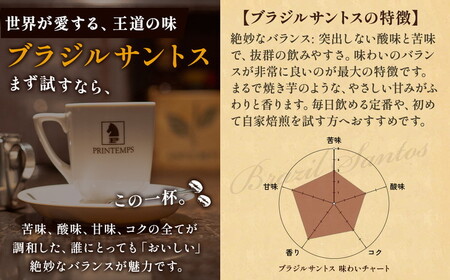 《プランタン珈琲商会 自家焙煎レギュラーコーヒー》 ブラジルサントス 300g×2袋入り(豆のまま) 当社で焙煎仕立てのコーヒー豆をお届け！ [1640] | 珈琲豆 珈琲豆