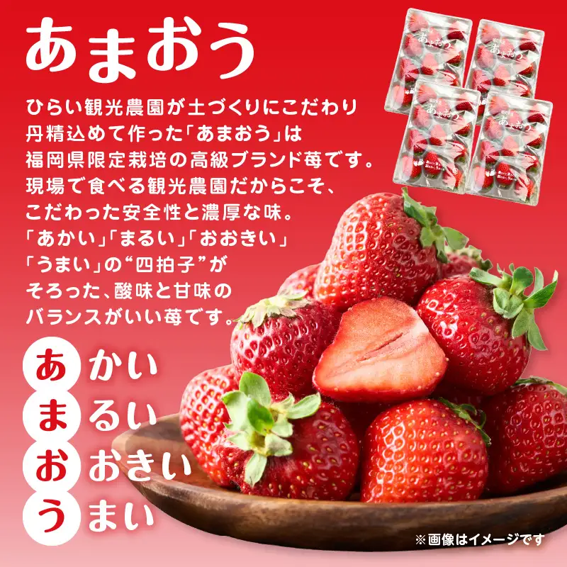 こだわりあまおう4パック（合計900g）｜2027年1月下旬～順次発送＜ひらい観光農園＞ あまおう いちご 福岡県限定 産地直送 高級ブランド 土づくり 安全性 濃厚な味 あかい まるい おおきい うまい 観光農園 苺ジャム トッピング パフェ ショートケーキ 福岡県 八女市 065-005