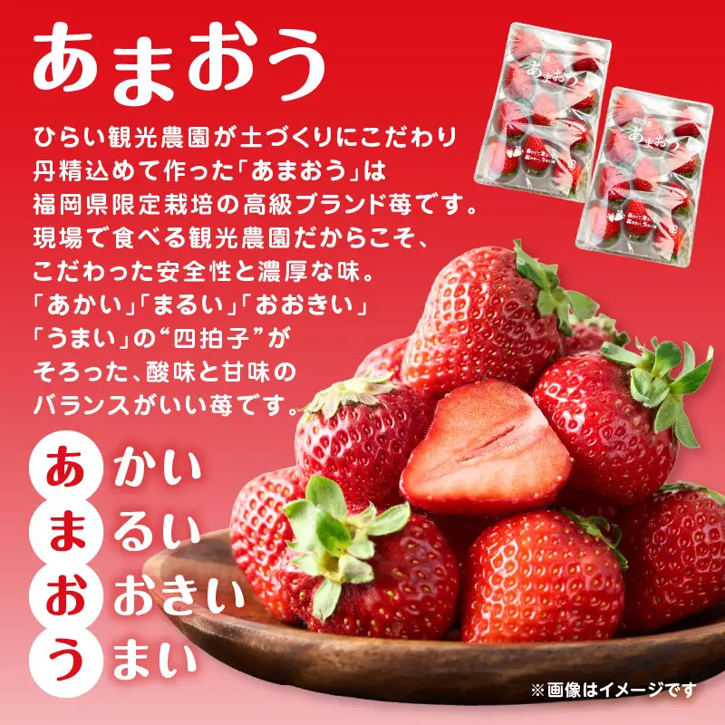 人気の2種いちご食べ比べセット「あまおう450g」＋「かおり野450g」合計900g｜2027年1月下旬～順次発送＜ひらい観光農園＞ いちご 苺 イチゴ フルーツ 果物 くだもの 065-001