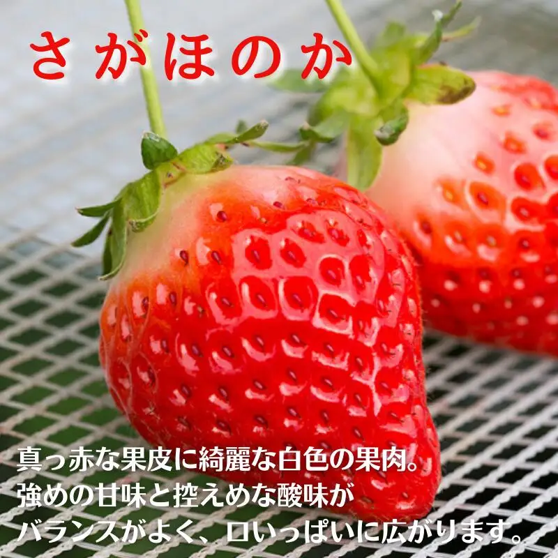 いちご 佐賀県産いちご さがほのか＆パールホワイト 紅白セット【1～4月発送】：B140-008
