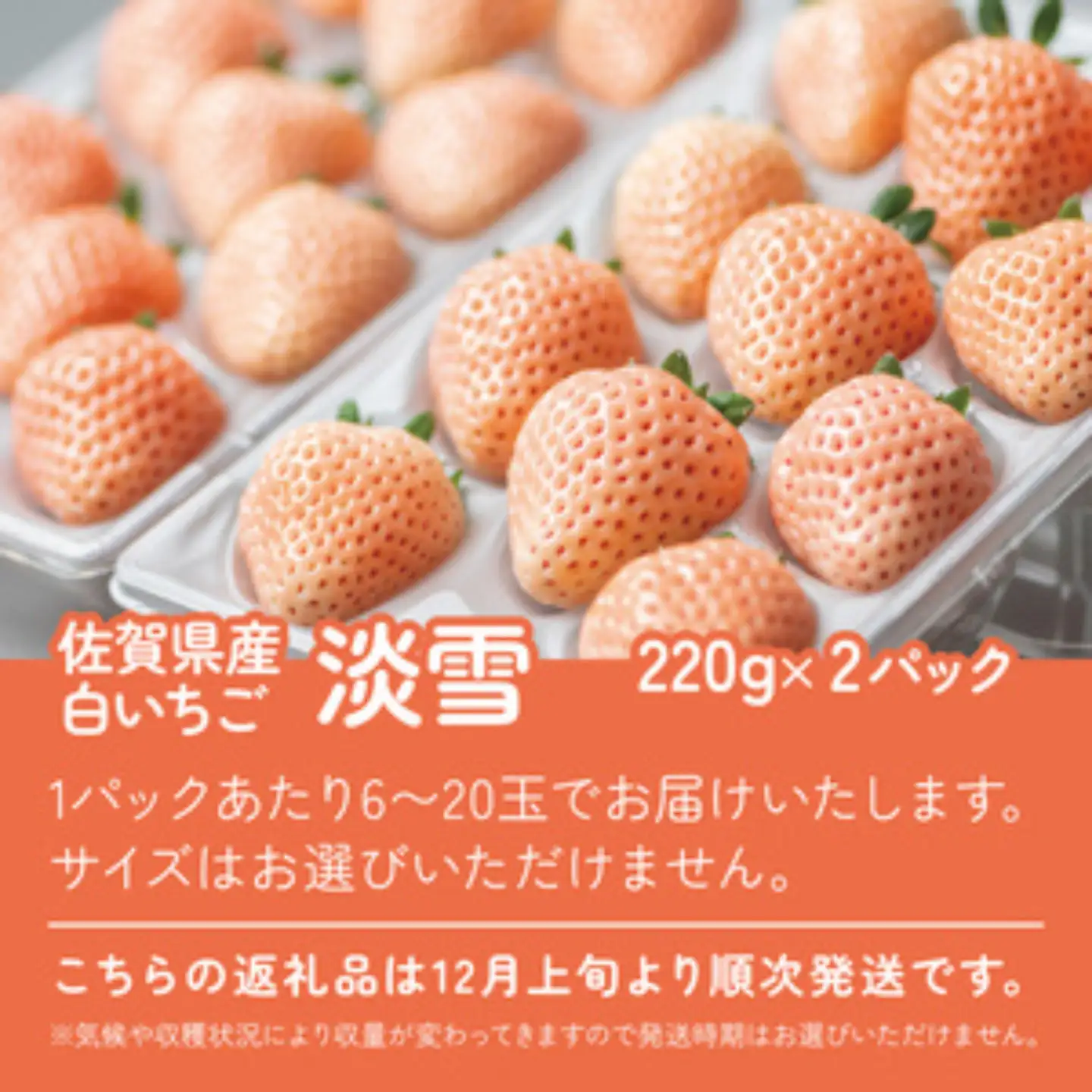 先行受付開始！希少価値 佐賀県産 いちご 淡雪 220g×2パック 2026年12月発送開始：B140-009